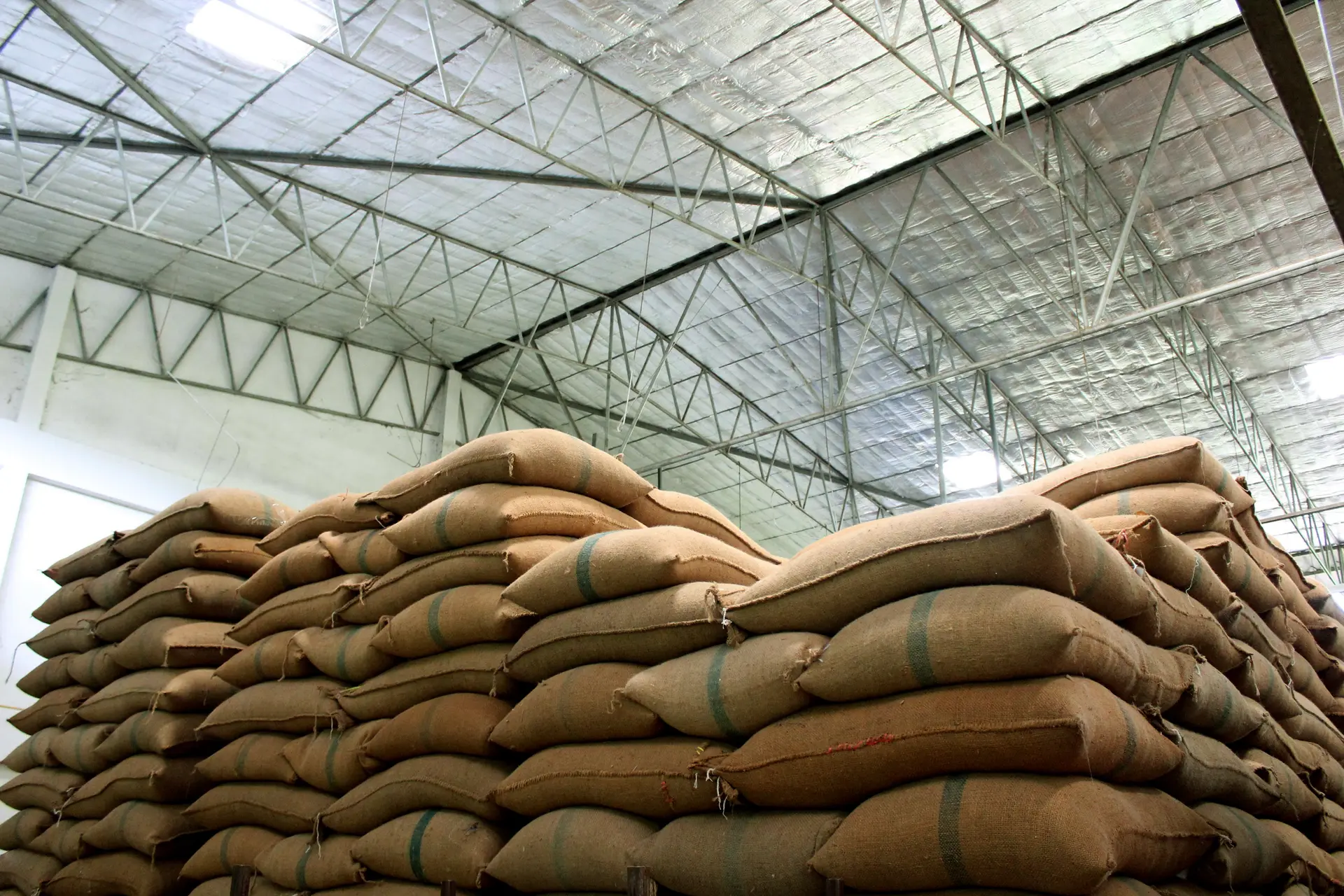 Makhana sacks stacked in our warehouse
